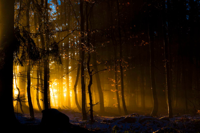 Bild Martin Helmecke